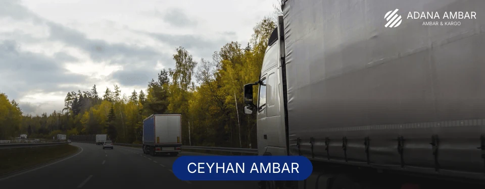 Ceyhan Ambar