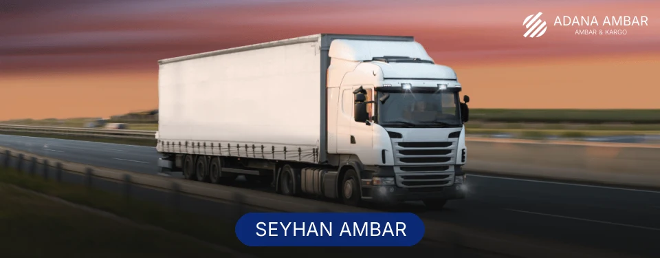 Seyhan Ambar